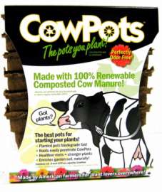 12PK 3" SQ Cow Pot