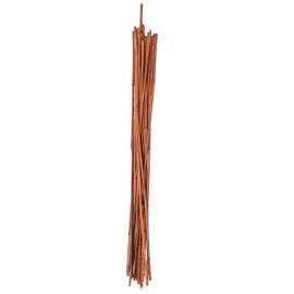 GT 24PK 3' Bamboo Stake