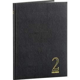 Acco/Wilson Jones 2-Column Columnar Book