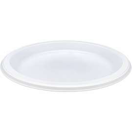 Genuine Joe Disposable Plastic Plates