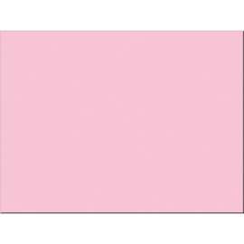 Pacon Tru-Ray Construction Paper