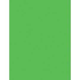 Pacon Neon Color Multi-purpose Paper