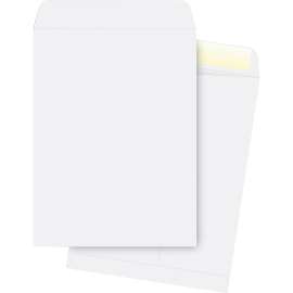 Bus. Source 28 lb. White Catalog Envelopes