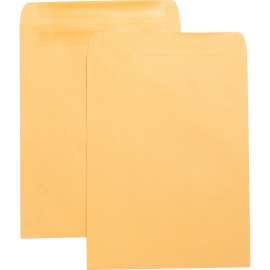 Bus. Source Press-To-Seal Catalog Envelopes 