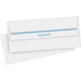 Bus. Source Regular Security Invoice Envelopes