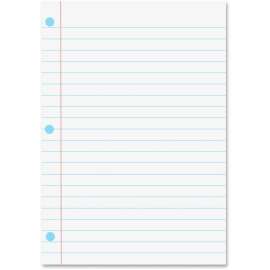 Ashley Prod. Dry Erase Magnetic Notebook Page