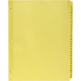 Bus. Source Preprinted 1-31 Tab Index Dividers