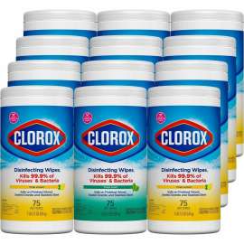 Clorox Disinfecting Wipes 3-pack