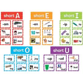 Teacher Created Resources Short Vowels Pocket Chart Cards