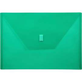 Lion Design-R-Line Poly Envelopes