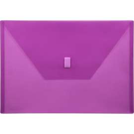 Lion Design-R-Line Poly Envelopes