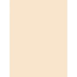 Pacon Heavyweight Tagboard Paper
