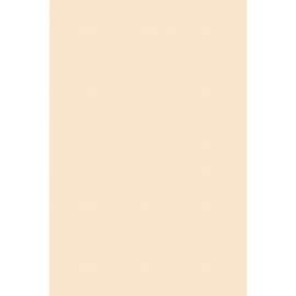 Pacon Heavyweight Tagboard Paper