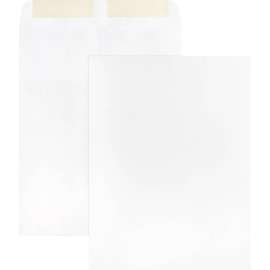Bus. Source 28 lb. White Catalog Envelopes
