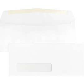 Bus. Source Economical No. 10 Window Envelope