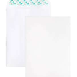 Bus. Source Self Sealing Catalog Envelope