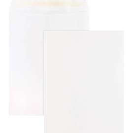 Bus. Source Self Sealing Catalog Envelopes