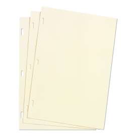 Looseleaf Minute Book Ledger Sheets, 11 x 8.5, Ivory, Loose Sheet, 100/Box
