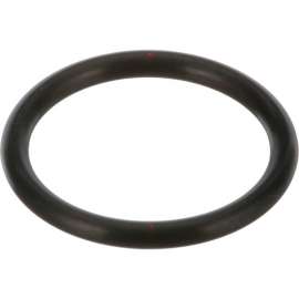 Allpoints 321155 O-Ring
