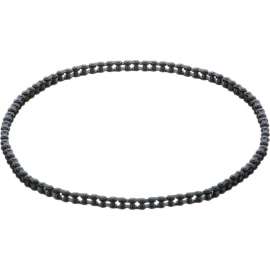 Allpoints 8012575 Drive Chain For Roundup Food Equipment