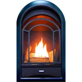 ProCom Dual Fuel Ventless Gas Fireplace Insert, Arched Door, 15000 BTU, T-Stat Control