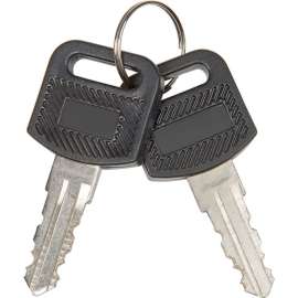 Replacement Keys for Global Industrial Charging Cabinets/Carts 985748, 251761, 987877, 2/Pack