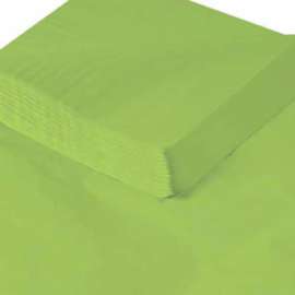 Global Industrial Gift Grade Tissue Paper, 20"W x 30"L, Citrus Green, 480 Sheets