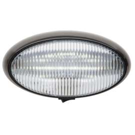 LED PORCH;OVAL;SWITCH; BLK BASE:CLR