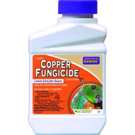 Bonide 811 Copper Fungicide, Liquid, Acidic, Blue, 1 pt
