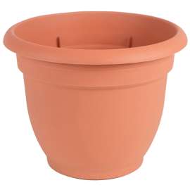 Bloem 20-56110 Self-Watering Planter, 10 in Dia, 11 in W, Round, Plastic, Terra Cotta