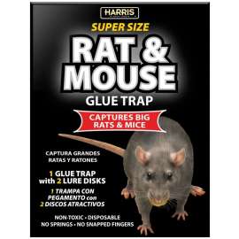 HARRIS BLKRAT-1 Rat and Mouse Glue Trap