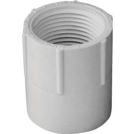 GENOVA 300 Series 30310 Pipe Adapter, 1 in Slip, 1 in FIP, White