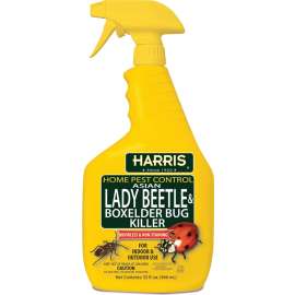 HARRIS HBXA-32 Beetle Killer, Liquid, Spray Application, 32 oz