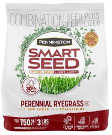 Pennington 100526658 Perennial Ryegrass Seed, 3 lb Bag