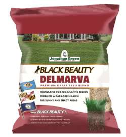 Jonathan Green Black Beauty 10390 Grass Seed Mix, 3 lb