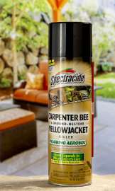 16OZ Carpent Bee Killer