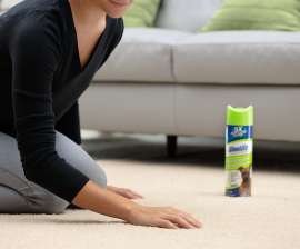 BISSELL 0820 Carpet Cleaner, 22 oz Can