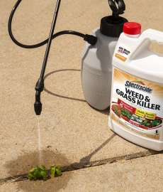 Spectracide HG-96620 Concentrated Weed and Grass Killer, Liquid, Spray Application, 1 gal