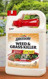 Spectracide HG-96017 Weed and Grass Killer, Liquid, Amber, 1 gal Can