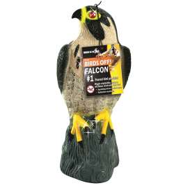 DECOY FALCON PLASTIC