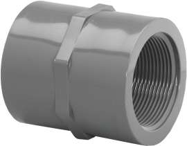 GENOVA 300 Series 301248 Pipe Coupler, 1-1/4 in FIP, Gray