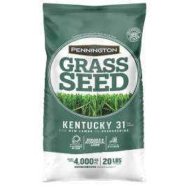 Pennington Kentucky 31 Series 100516055 Grass Seed, 25 lb Bag