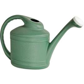 Southern Patio WC8108FE Watering Can, 2 gal Can, Resin, Fern