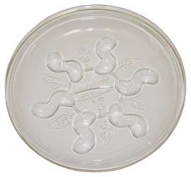 Gardener's Blue Ribbon Saucer Plus SP8VUS Planter Saucer, Plastic, Clear