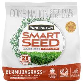 Pennington 100085578 Bermuda Grass Seed, 1 lb