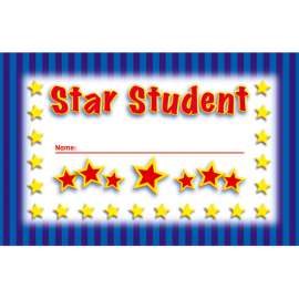 Incentive Punch Cards, Star Student