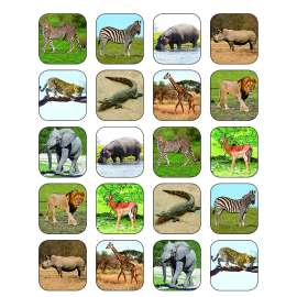 Safari Animals Stickers