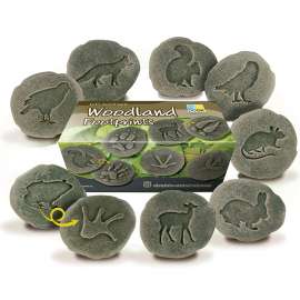 Let's Investigate Woodland Footprint Stone, Pack of 8