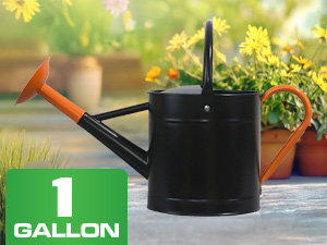 One gallon metal watering can capacity