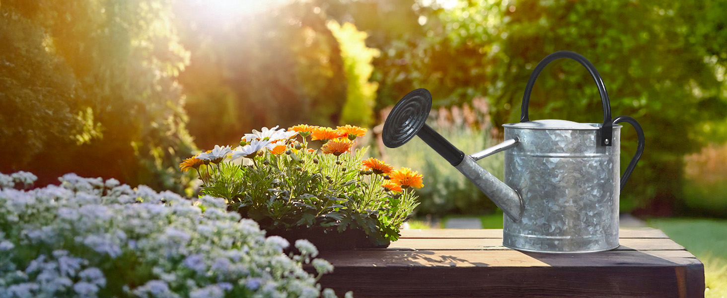 Galvanized metal 1 gallon watering can with black handles
